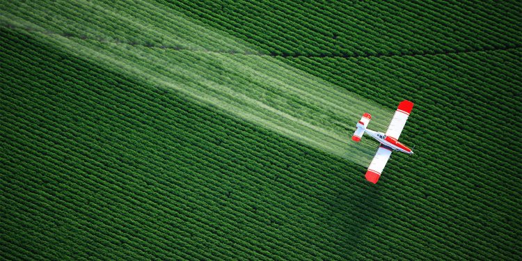 What New Research Shows About Prenatal Pesticide Exposure and Autism Traits