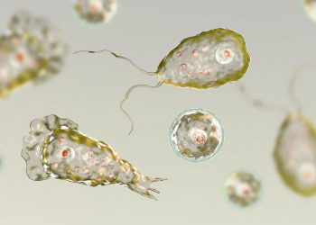 Young Girl Dies From Rare Brain-Eating Amoeba