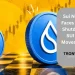 Sui Network Faces AlphaFi Shutdown as SUI Price Moves Higher