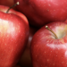 A revolution is on the way in how apples are harvested