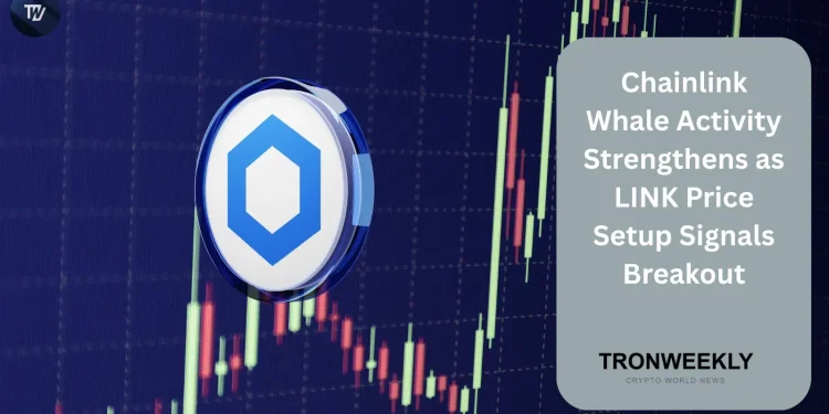 Chainlink Whale Activity Strengthens as LINK Price Setup Signals Breakout