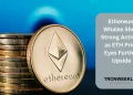 Ethereum Whales Show Strong Activity as ETH Price Eyes Further Upside
