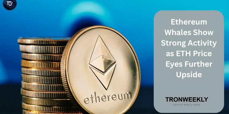 Ethereum Whales Show Strong Activity as ETH Price Eyes Further Upside