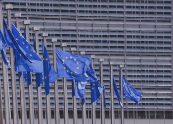 Behind the numbers: New report fuels Europe’s black market enforcement debate