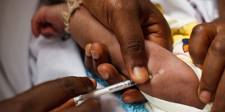 Novel Tuberculosis Vaccine Falls Short