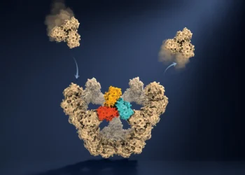 Oxford scientists discover how viruses build themselves without a blueprint