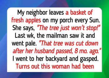 Virginia Woman Brought Her Neighbor Fresh Apples Every Sunday for 8 Months, Until Her Neighbor Finally Found Out Where They Really Came From