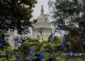 A Republican midterm defeat will not be an earthquake