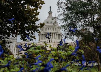 A Republican midterm defeat will not be an earthquake