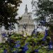 A Republican midterm defeat will not be an earthquake