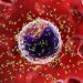 Ianalumab’s Road to Approval for Sjogren’s Looks Bumpier