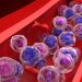 A Deep Dive Into Double-Hit Lymphoma