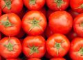 UK links Salmonella outbreak to Moroccan tomatoes