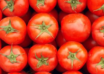 UK links Salmonella outbreak to Moroccan tomatoes