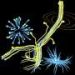 Identical vesicles, different behaviors: Model reveals how spontaneous asymmetry gives rise to lifelike behavior