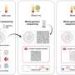 Novel blood test detects lung cancer traces long before scans