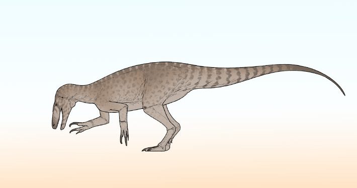 New Species of Predatory Dinosaur Identified in Argentina