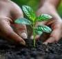Restoration efforts are working, but we need to move faster to meet targets, says U.N. report